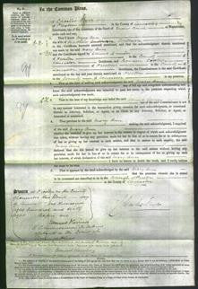 Court of Common Pleas - Mary Ann Coulburn-Original Ancestry