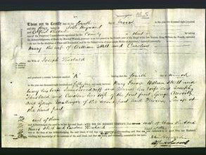 Deed by Married Women - Mary Skell and Caroline Theobald-Original Ancestry