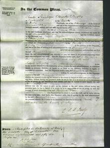 Court of Common Pleas - Hannah Dixon Pike-Original Ancestry