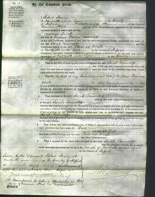 Court of Common Pleas - Sarah Tunnicliff-Original Ancestry