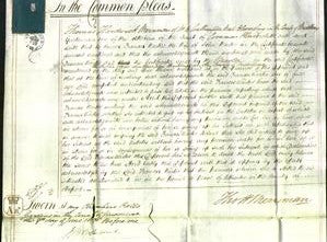 Court of Common Pleas - Frances Warter-Original Ancestry
