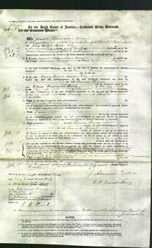 Court of Common Pleas - Emma Pierce-Original Ancestry