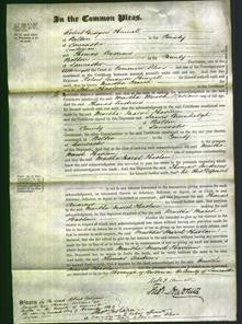 Court of Common Pleas - Martha Marsh Haslam-Original Ancestry