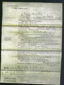 Court of Common Pleas - Sarah Goddard-Original Ancestry