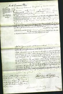 Court of Common Pleas - Louisa Ann Bennett-Original Ancestry
