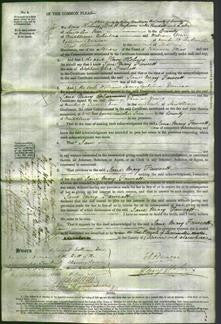 Court of Common Pleas - Jane Mary Fawcett-Original Ancestry