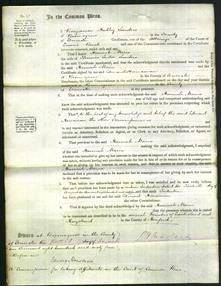 Court of Common Pleas - Hannah Maria Sanders-Original Ancestry