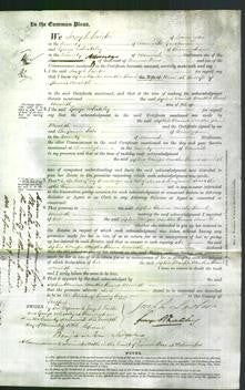 Court of Common Pleas - Sophia Clarissa Martha Round Meredith-Original Ancestry