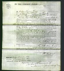 Court of Common Pleas - Elizabeth Ann Dowsett-Original Ancestry