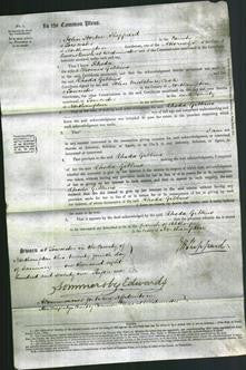 Court of Common Pleas - Rhoda Gibbins-Original Ancestry