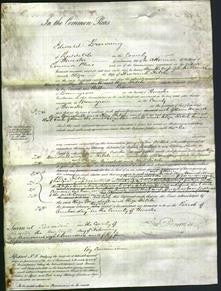 Court of Common Pleas - Eliza Minshall and Eliza Teitch-Original Ancestry