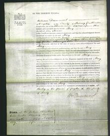 Court of Common Pleas - Mary Teevan-Original Ancestry