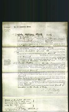 Court of Common Pleas - Hannah Parsons-Original Ancestry