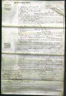Court of Common Pleas - Lucy Ann Phillips-Original Ancestry