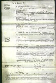 Court of Common Pleas - Maria Helms-Original Ancestry