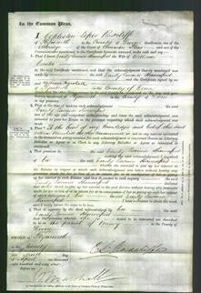 Court of Common Pleas - Emily Lavinia Hannaford Canter-Original Ancestry