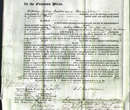 Court of Common Pleas - Ann Newmann-Original Ancestry