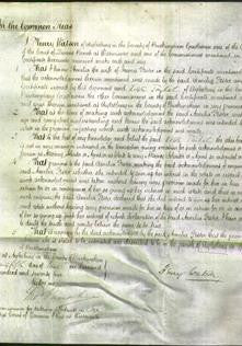 Court of Common Pleas - Amelia Foster-Original Ancestry