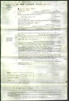 Court of Common Pleas - Mary Ann Symonds-Original Ancestry