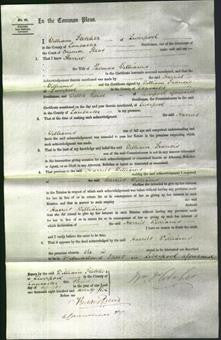 Court of Common Pleas - Harriet Williams-Original Ancestry