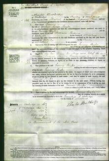 Court of Common Pleas - Fanny Gayfer-Original Ancestry