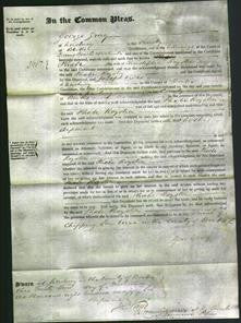 Court of Common Pleas - Phoebe Royston-Original Ancestry