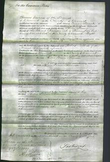 Court of Common Pleas - Phillis Brown Thomason-Original Ancestry