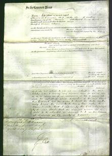 Court of Common Pleas - Sarah Pettepher-Original Ancestry