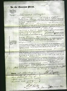 Court of Common Pleas - Frances Coleman-Original Ancestry
