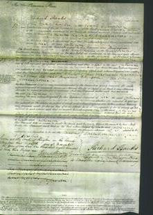 Court of Common Pleas - Catherine Gardner