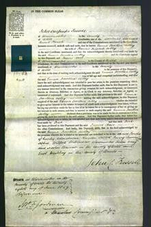 Court of Common Pleas - Emma Dorothea Astley-Original Ancestry