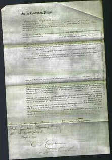 Court of Common Pleas - Sarah Eyles-Original Ancestry