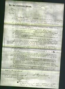 Court of Common Pleas - Cecilia Eliza Anne Harries-Original Ancestry