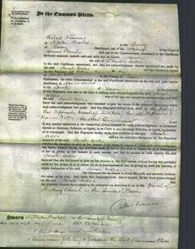 Court of Common Pleas - Sarah Wills-Original Ancestry