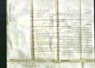 Court of Common Pleas - Ann Lawrenson-Original Ancestry