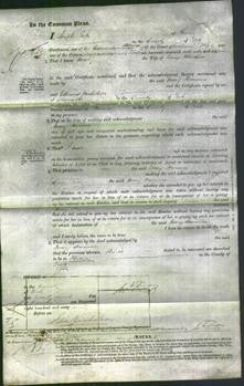 Court of Common Pleas - Mary Hairsine-Original Ancestry