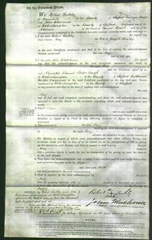 Court of Common Pleas - Amy Beesley-Original Ancestry