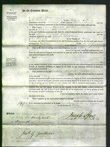 Court of Common Pleas - Mary Elizabeth Godber Mold-Original Ancestry
