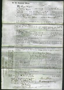 Court of Common Pleas - Mary Ann Topham-Original Ancestry