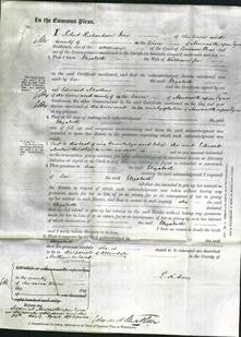 Court of Common Pleas - Elizabeth Lee-Original Ancestry