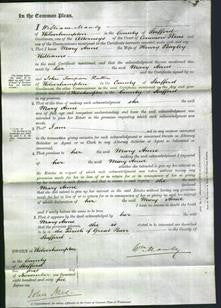 Court of Common Pleas - Mary Anne Williams-Original Ancestry