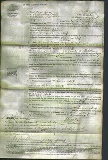 Court of Common Pleas - Rebecca Moss-Original Ancestry