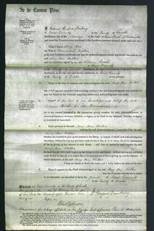 Court of Common Pleas - Mary Ann Walker-Original Ancestry