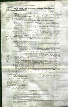 Court of Common Pleas - Emma Pierce-Original Ancestry