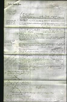 Court of Common Pleas - Elizabeth Greenwood-Original Ancestry