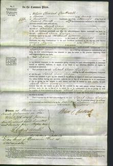 Court of Common Pleas - Sarah Ann George-Original Ancestry