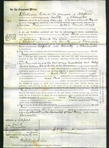 Court of Common Pleas - Jane Mayo-Original Ancestry