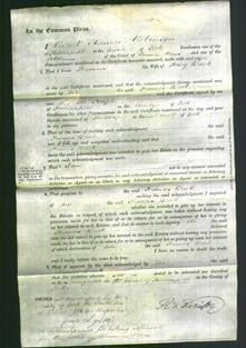 Court of Common Pleas - Frances Brook-Original Ancestry