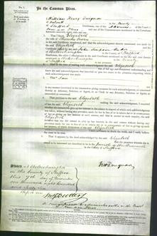 Court of Common Pleas - Elizabeth Owen-Original Ancestry