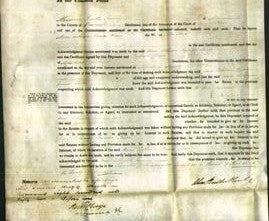 Court of Common Pleas - Ann Catherine Wynne Jones-Original Ancestry